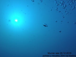 file0631